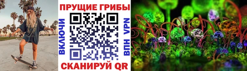 Галлюциногенные грибы ЛСД  где найти   Рыльск 