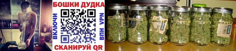 darknet как зайти  цена   OMG ONION  Рыльск  Бошки Шишки SATIVA & INDICA 